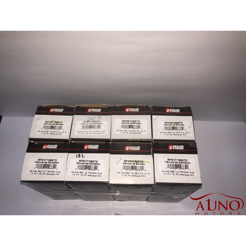 Juego de Valvulas Audi Vw 3